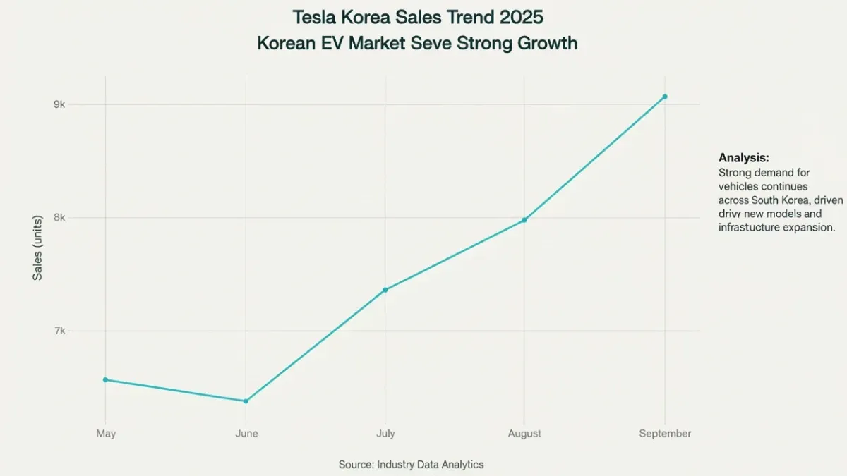 테슬라 한국 월별 판매량 (2025년 5월-9월)
