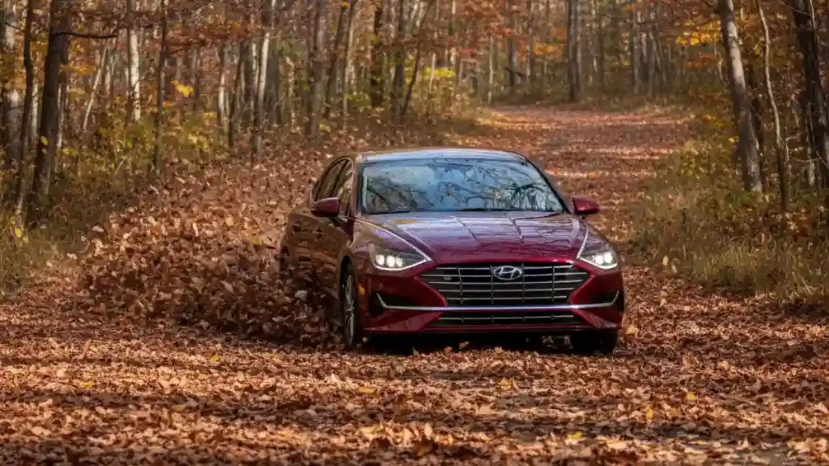 "가을 낭만"이 자동차를 습격한다…낙엽으로 인한 차량 고장 현황과 대응책