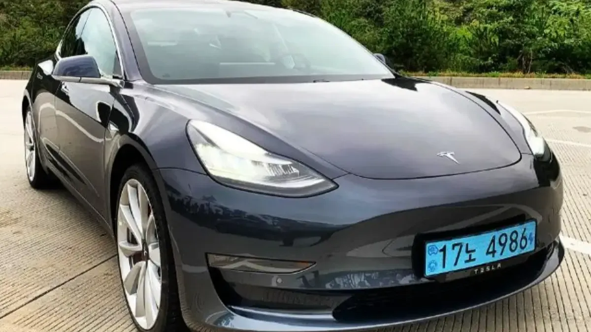 "숨겨진 문, 갇힌 목숨" 테슬라 모델 3의 악몽 같은 설계 결함, 미국 당국이 나섰다