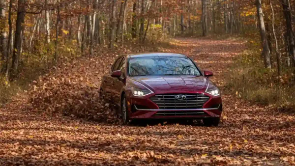 "가을 낭만"이 자동차를 습격한다…낙엽으로 인한 차량 고장 현황과 대응책