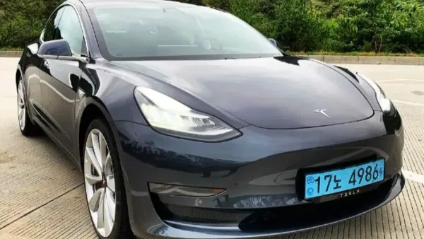 "숨겨진 문, 갇힌 목숨" 테슬라 모델 3의 악몽 같은 설계 결함, 미국 당국이 나섰다